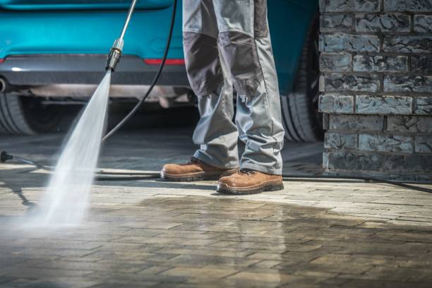 Best Roof Washing  in Rockford, MN