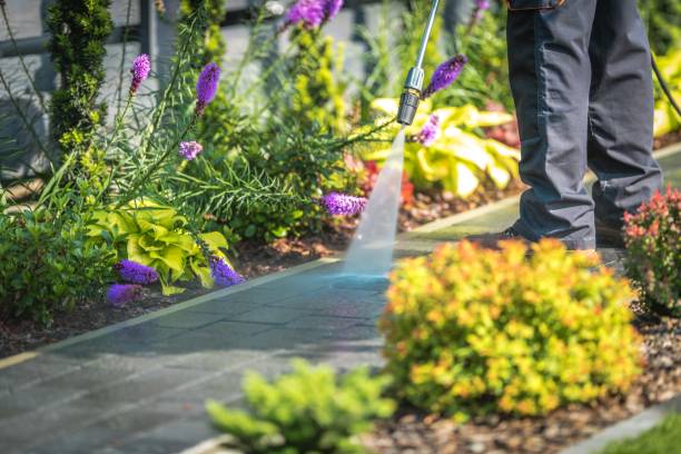Best Gas Station Cleaning  in Rockford, MN