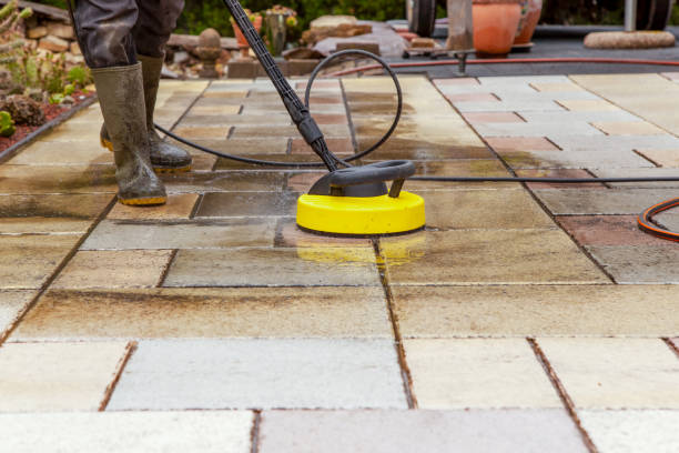 Best Driveway Pressure Washing  in Rockford, MN