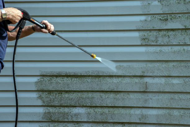 Best Pool Deck Cleaning  in Rockford, MN